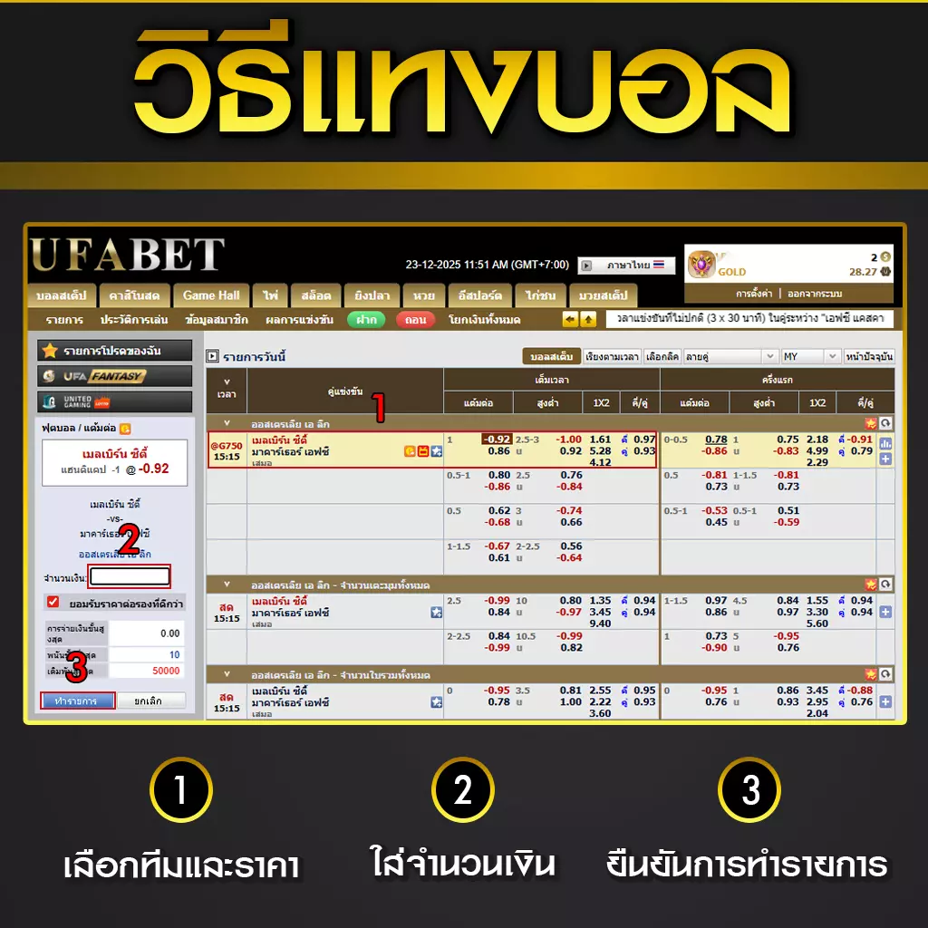 วิธีแทงบอล